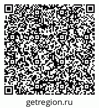 79066017981