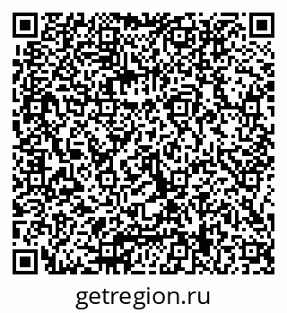 79066019205