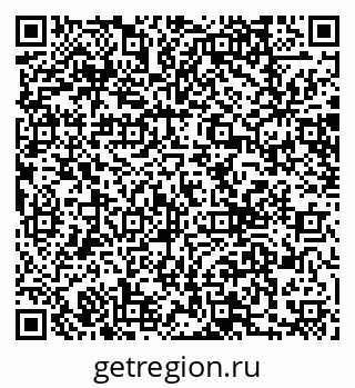 79066019295