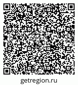 79066019558