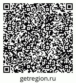 79066020061