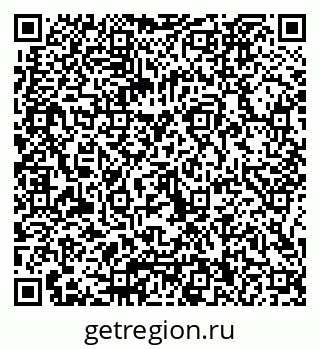79066020384