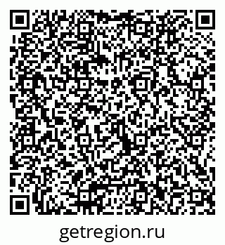 79066022411