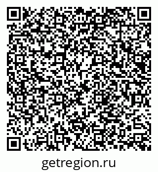 79066023981