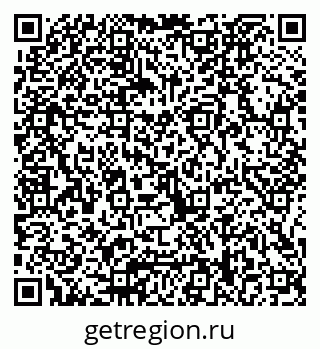 79066028081