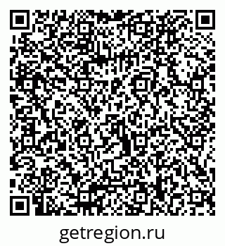 79066028211