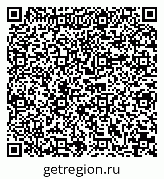 79066066559