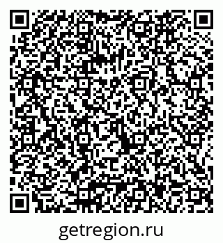 79066067533