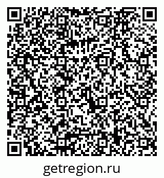 79066069381