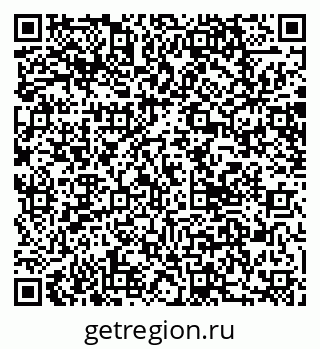 79066069858