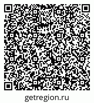 79066075558