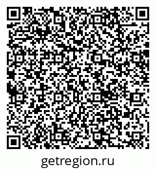 79066078204