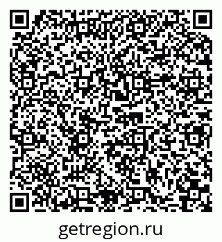 79066079904