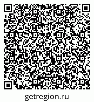 79066080291