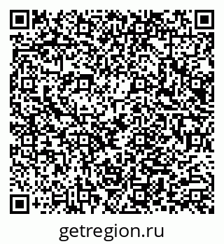 79066081533