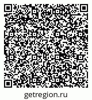 79066081541
