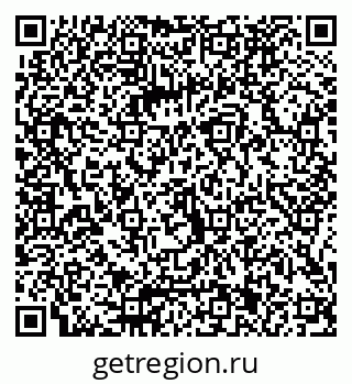 79066081654
