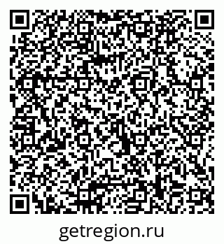 79066088531