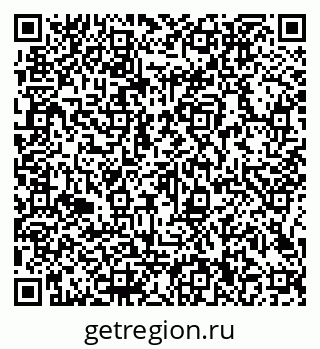79066100381