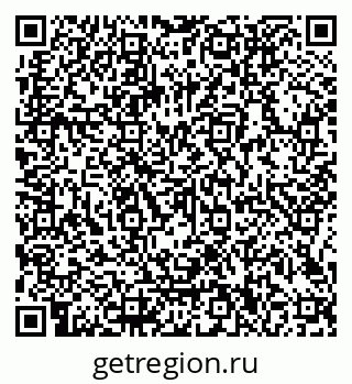 79066100393