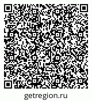 79066100410