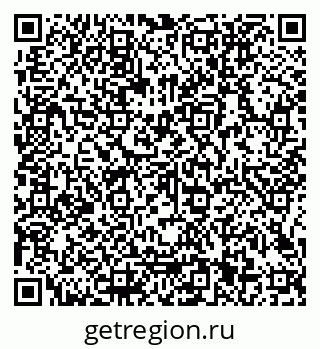 79066101009