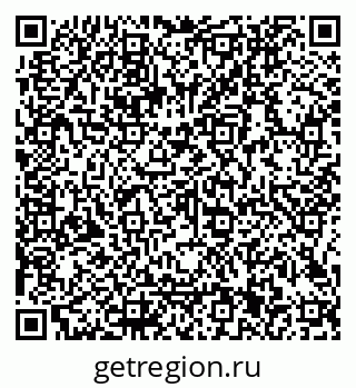 79066101040