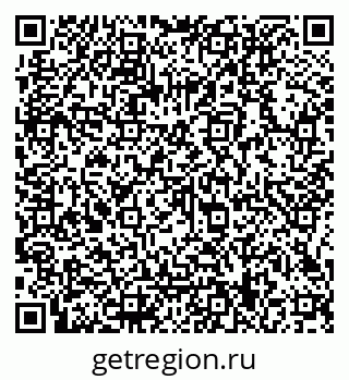 79066119293