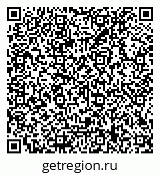 79066119341