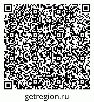 79066119411