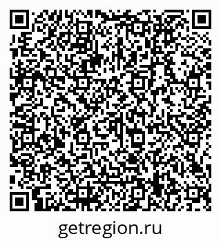 79066119981
