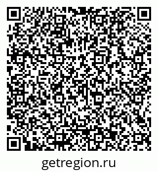 79066123206