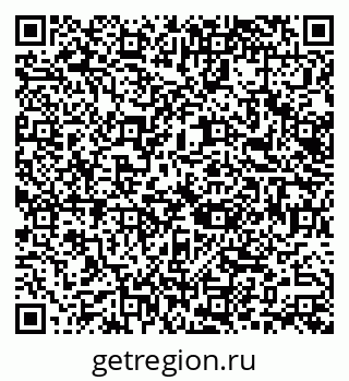 79066128981