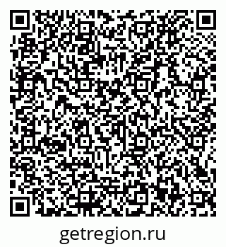 79066133858