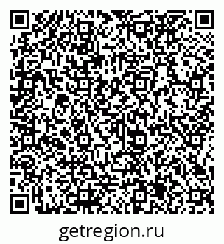 79066135384