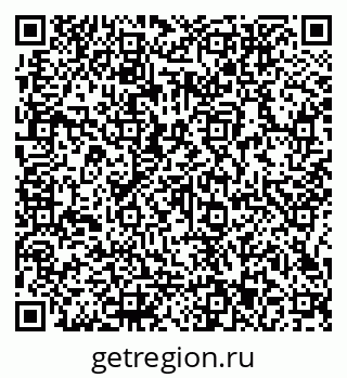 79066153393