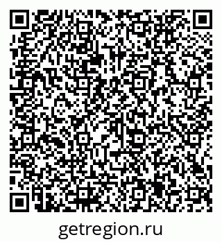 79066155041