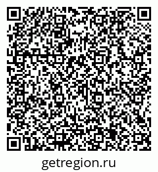 79066155384