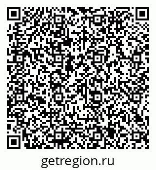 79066155393
