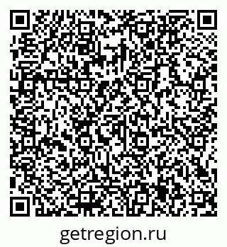 79066155981