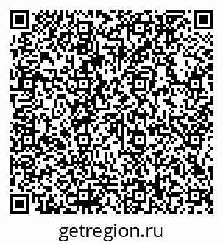 79066158381