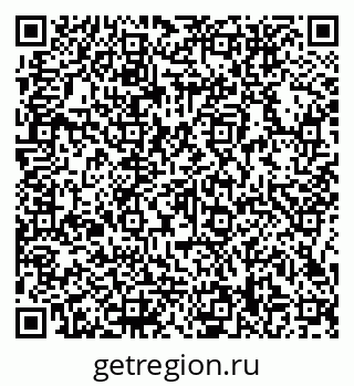 79066158411