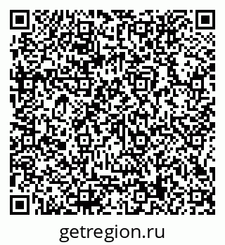 79066159636