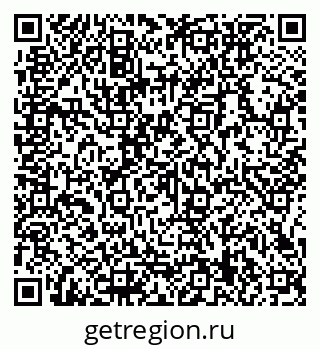 79066159904