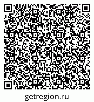 79066161217