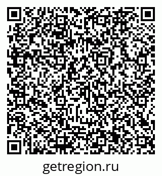 79066161304