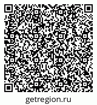 79066161636