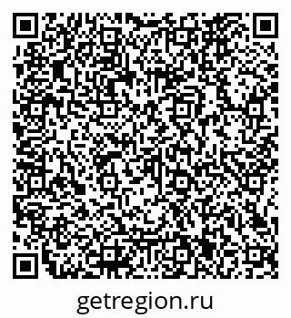 79066161673