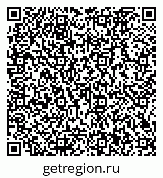 79066161981