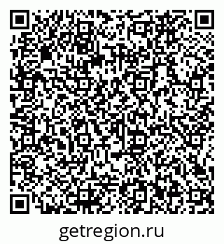 79066162919